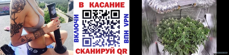 Магазины продажи наркотиков Хадыженск A PVP  Псилоцибиновые грибы  МЕФ  Марихуана  КОКАИН  АМФ 