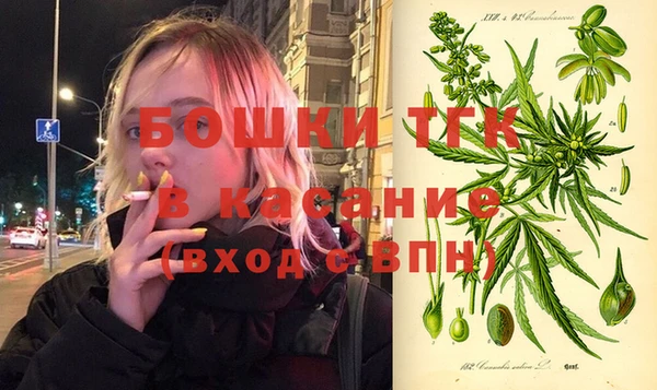 дживик Абаза