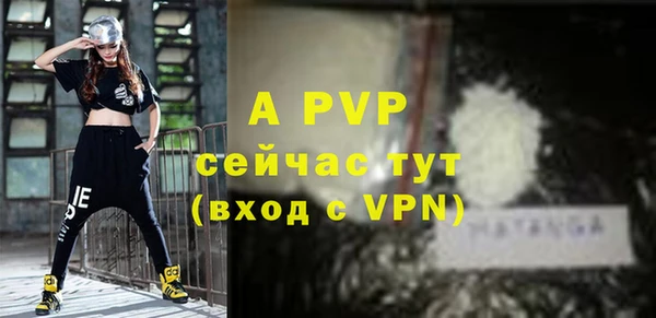 дживик Абаза
